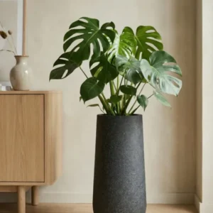 Nax Pflanzkübel Midnight Schwarz aus Fiberstone – im Lifestyle-Setting
