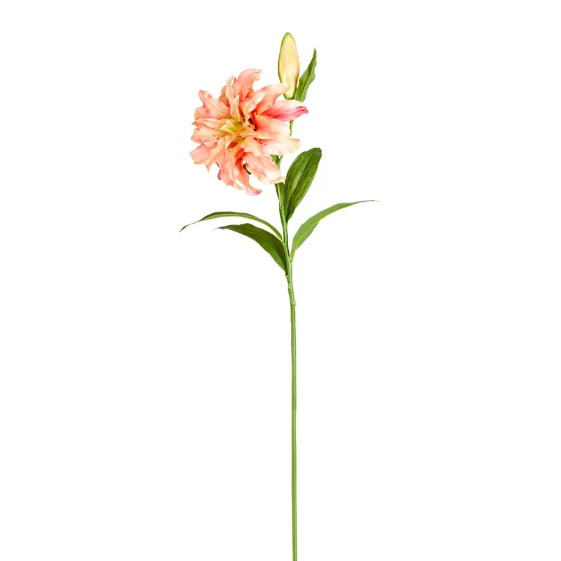 Tige de Lys Oriental Double 78 cm