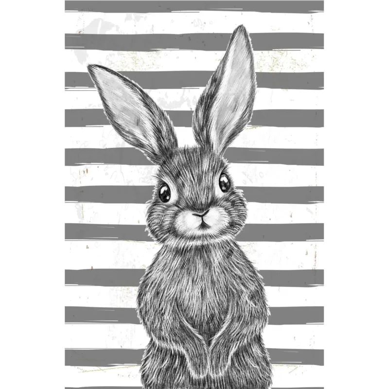 Blechschild - Black Rabbit with stripes 20x30cm