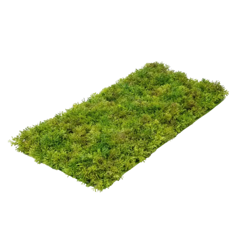 Künstliche Moosmatte - Aloisia, 25 cm, Kunstpflanze von aplanta, UV-beständig, feuerhemmend, B1-zertifiziert, in Grün
