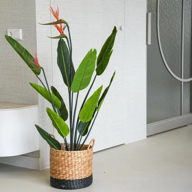 Strelitzia with Flowers – 120 cm – In Black Pot – Artificial Plant