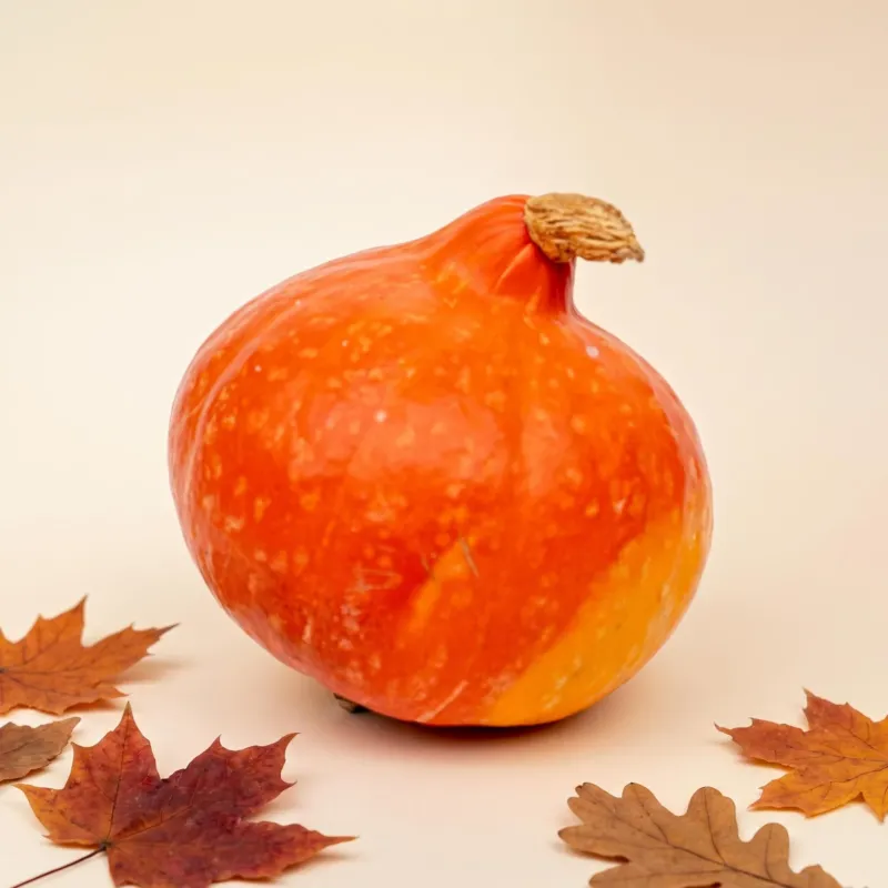 Hokkaido pumpkin - Red/Orange - Real - Ø 17 cm - 1,5 kg