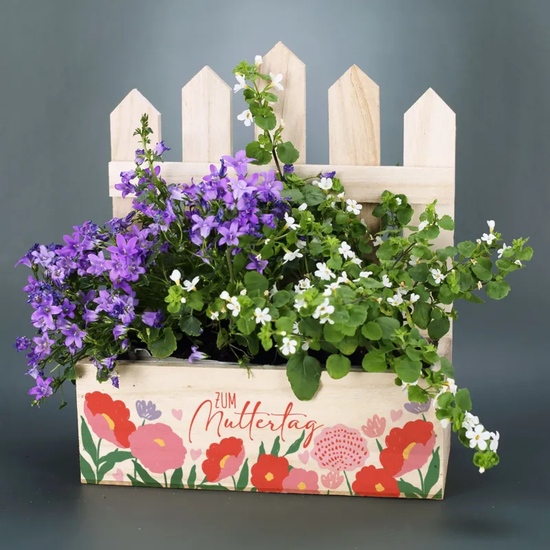 Pflanzkorb mit violetten Blumen und Zaun als Muttertagsgeschenk