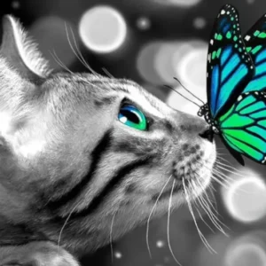 Diamond Painting Set Katze mit blauem Schmetterling auf der Nase, funkelnde Steine in Schwarz-Weiß mit bunten Akzenten
