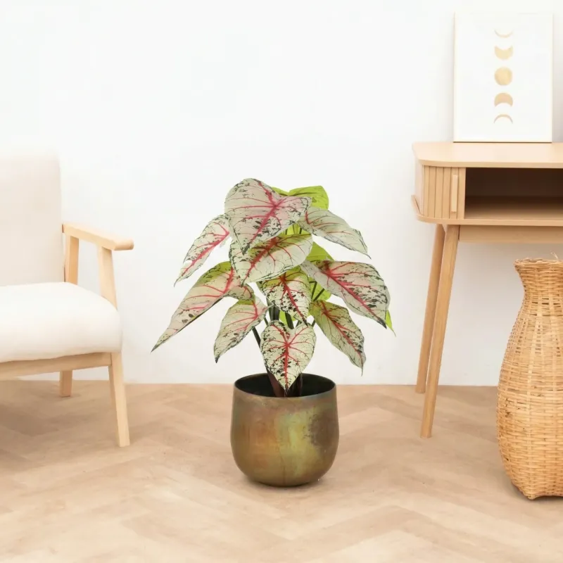 Kunst Caladium white / pink - 57cm
