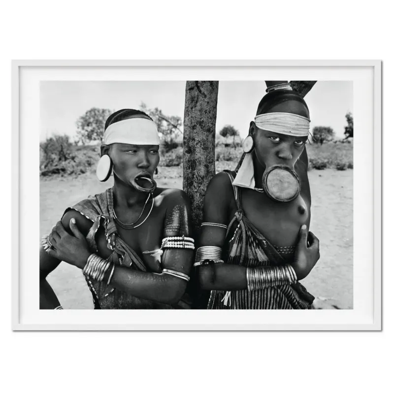 GENESIS Art Edition von Sebastião Salgado auf Buchständer