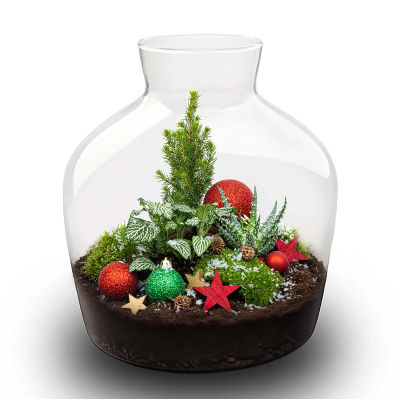 Holly - Christmas terrarium - Bottle garden DIY kit - Ø 29 cm ↑ 30