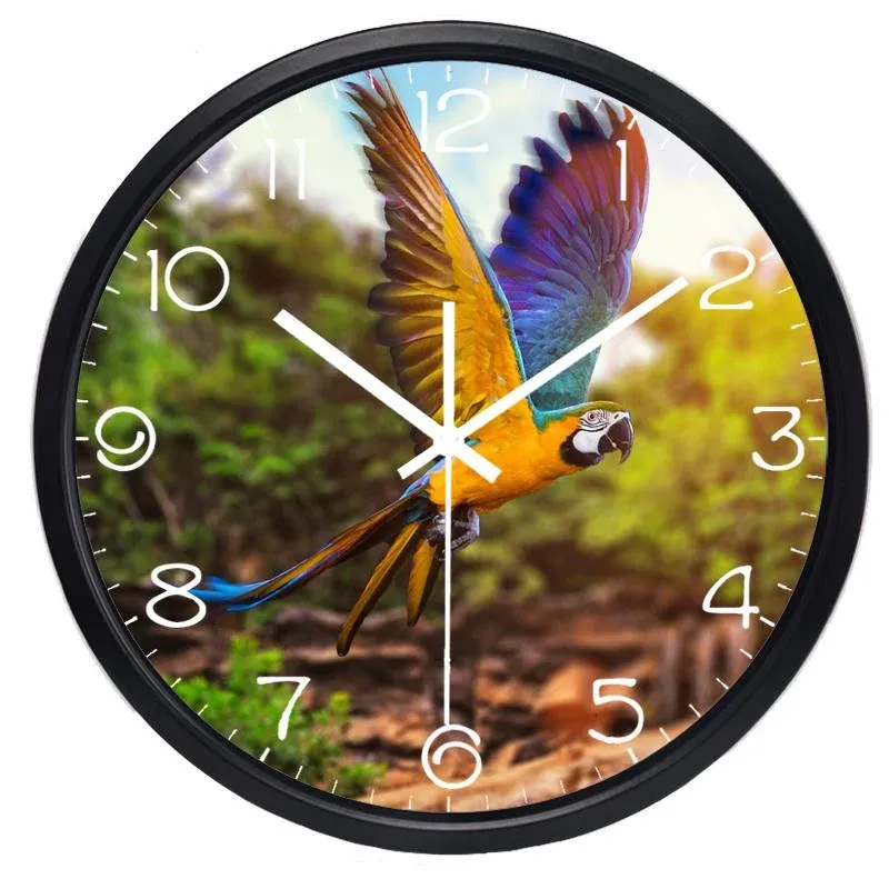 Runde Wanduhr mit Papagei Fotodruck