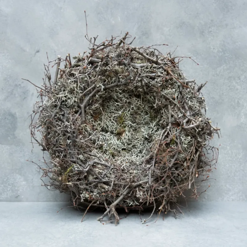 Moos Nest mit Bonsai - braun grau