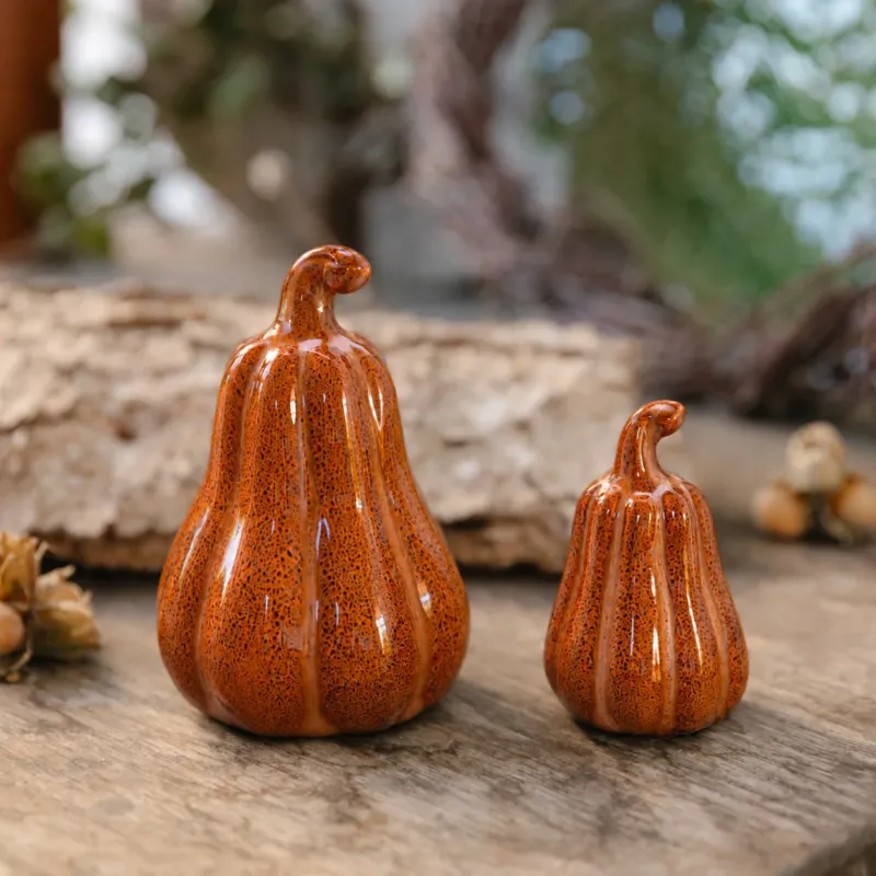 Kürbis Judy hoch - orange melange