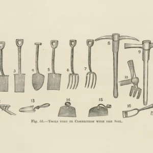 Vintage Illustration Of Tools, John Wright