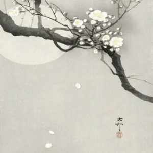 Plum Blossom And Full Moon (1900 1936), Ohara Koson