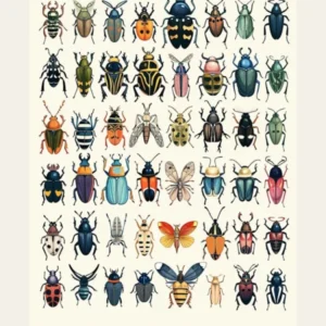 Colourful Insect Illustration Beetle 19 Poster