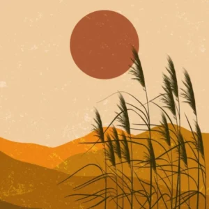 Sunset In The Mountains And Leaves