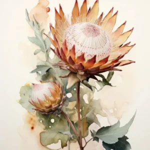 Pressed Flower Botanical Art Protea 1