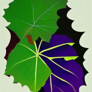 Wild Grape Leaf Vibrant Inspired