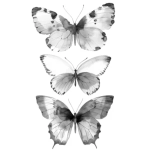 Three Butterflies In Black And White