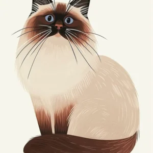 Birman Cat Clipart Illustration 1