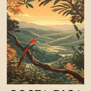 Vintage Travel Poster Costa Rica 4
