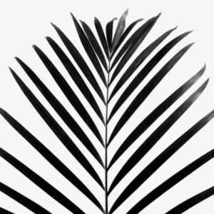 Minimal Palm Leaf Black And White