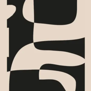 Modern Black And White Abstract Art 3
