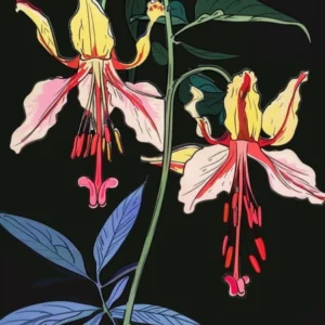 Neon Flowers On Black Bleeding Heart Dicentra 2