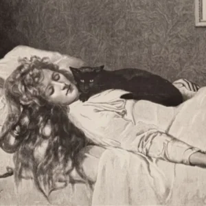 The Witch by John Collier 1893 ~ Witchy Pagan Gothic Feature Wall Art - A HD Remastered Victorian Drawing of a Witch With Black Cat Sleeping