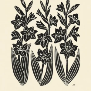 Rustic August Birth Flower Gladiolus Black Cream