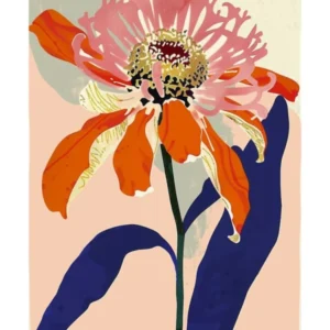 Colourful Flower Illustration Poster Zinnia 2