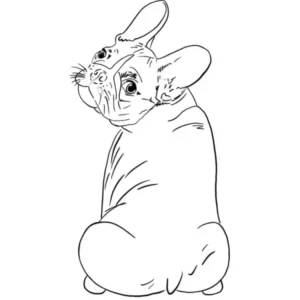 French Bulldog Frenchie Line Art