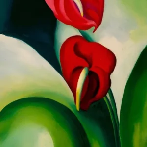 Georgia O'Keeffe - Anthurium. 1923