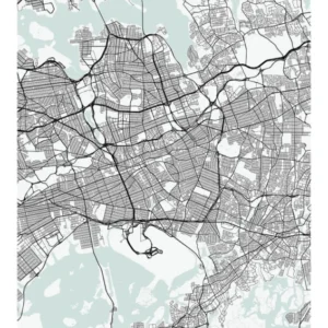 Queens New York Street Map Minimal Color