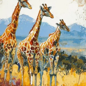 Giraffes Looking Into The Distance 2