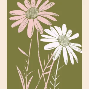 Pink & Green Daisy 3 Flower Poster