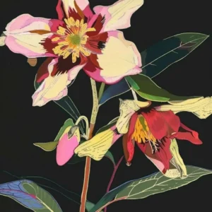 Neon Flowers On Black Hellebore 1
