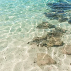 Clear Teal Water - Beach Photo Art - Croatia Travel Photography 1