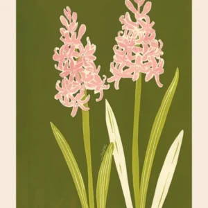 Pink & Green Hyacinth 2 Flower Poster