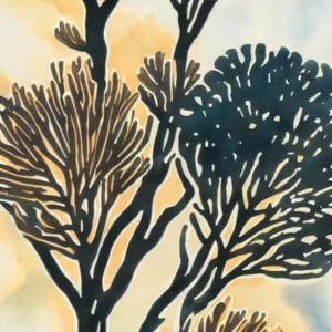 Acropora Verweyi 2 Vintage Graphic Watercolour