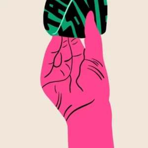 Taco Love Bright Pink Colourful Art