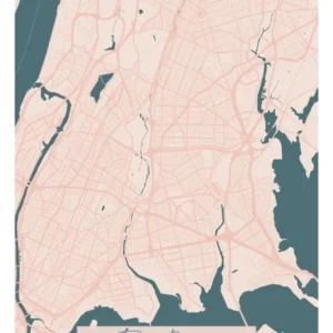 The Bronx New York Pink and Blue Cute Script Street Map