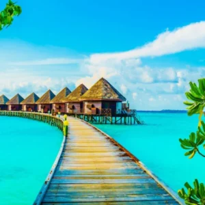 Maldives. Wooden bridge. Tropical. #2