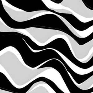 Abstract Black And White Zebra Stripes