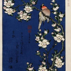 Robin On A Branch Of Cherry Blossom, Katsushika Hokusai