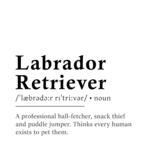 Labrador Retriever Definition Poster - Dictionary
