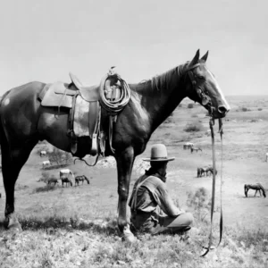 Cowboy And His Horse, Black and White, Western Art, Vintage Old Photo