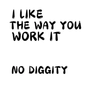 I Like The Way You Work It No Diggity