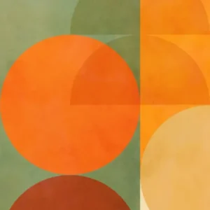Mid Mod Retro Geo Fall colours 1/2