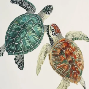Minimalist Turquouse & Orange Sea Turtle