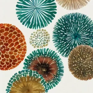 Sea Urchin Roe Vintage Graphic Watercolour