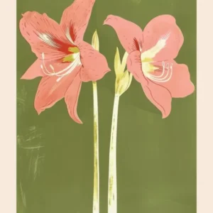 Pink & Green Amaryllis 5 Flower Poster